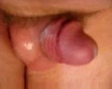 Small Cock Cumming-3
