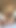 Filipino Boy Oiled Body, Nude Tiktok Dance, Playing with Ass Toys Until He Cum