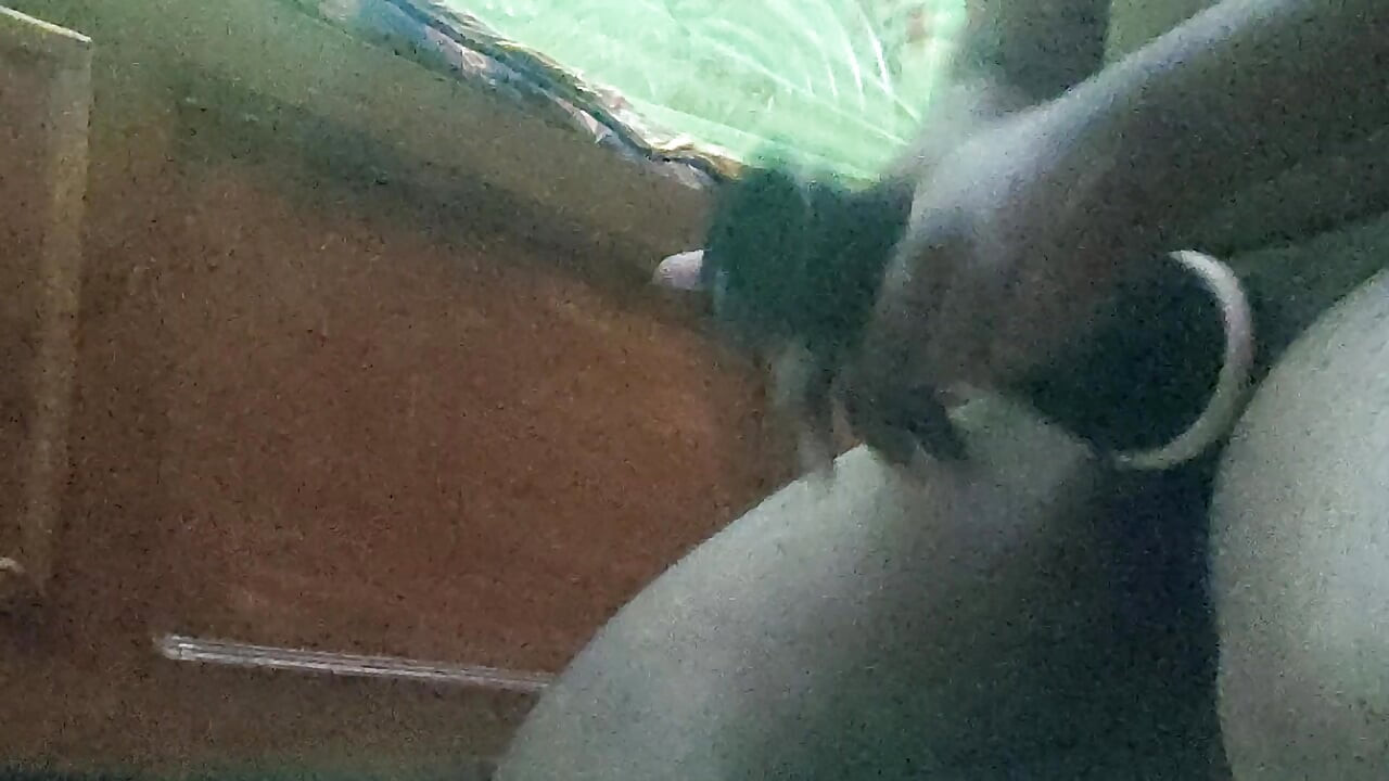 Flashlight fucking original feelings