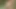 Stella.Cox.1080p
