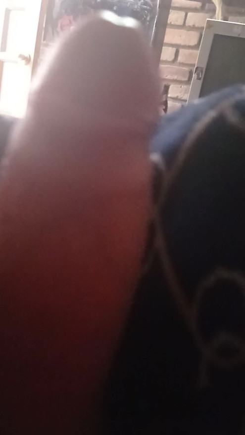 sex in my mother-in-law's house anal