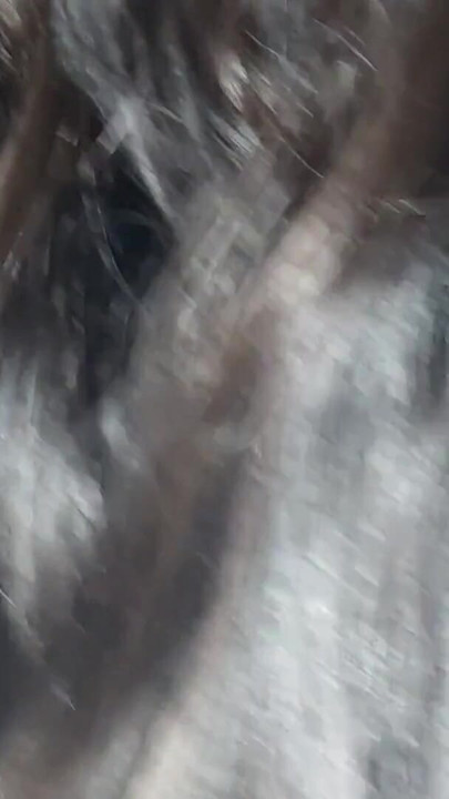 Desi Hot Indian Romance Desi Couple Bhabhi Indian Desi Aunty Desi Sex Desi Girl Hot Desi Bhabhi | Clip 1