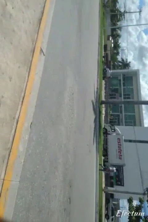 Culote cruzando avenida