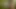 Mzscle growth animations - Made with Ai, not real