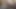 sounding shemale lingerie dildo 3