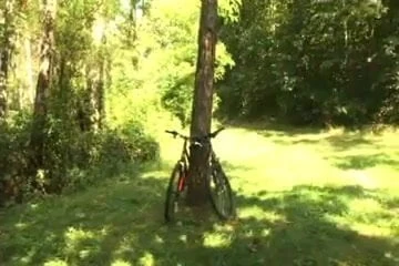 on yer bike 4