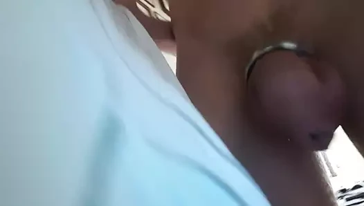horoz ringi sergisi