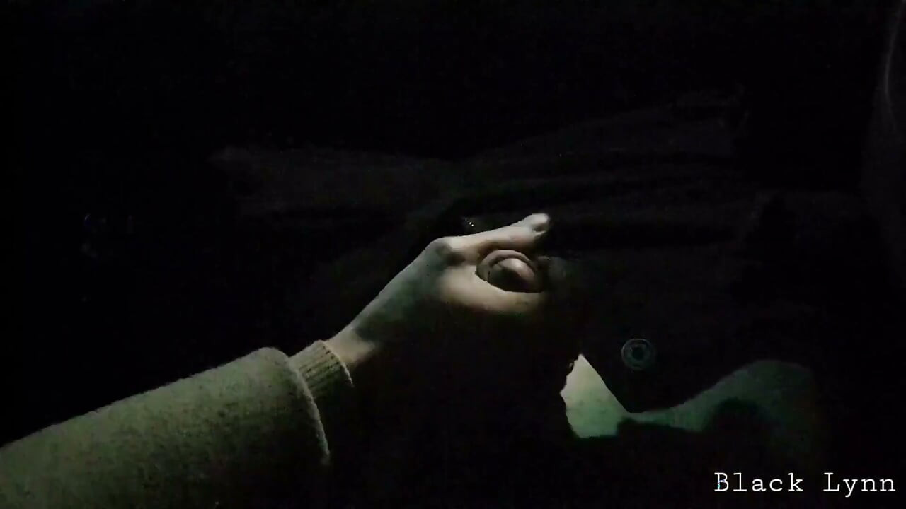 Stop the Car - I Want to Cum! / Car Handjob Next to the Road