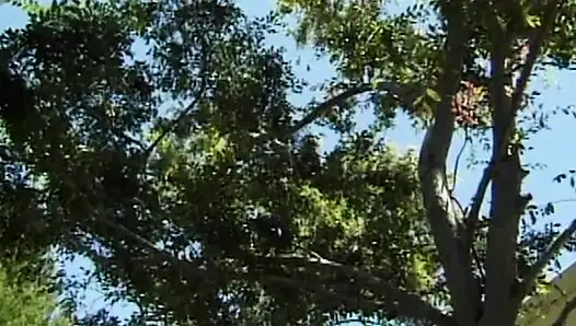 Bash из межрасового студенческого общества - тусовка Heiкончить