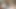 Bu kalın büyük götlü siyah ateşli kızın Miami'yi yeterince istediğini biliyordum... Sanırım erkek arkadaşı bunu karşılayamıyor