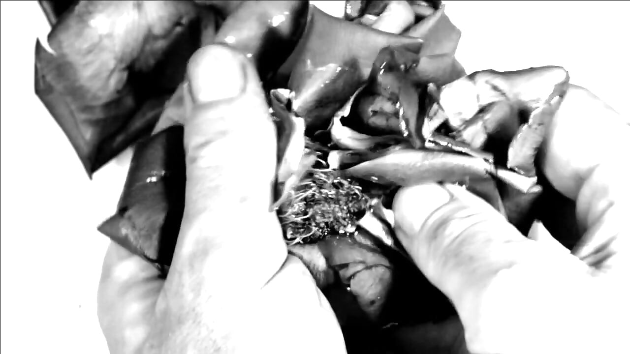 Hand Fetish - My Hands Destroying Flowers and Fruit