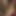 猫DesttroyedによってXxl黒コック
