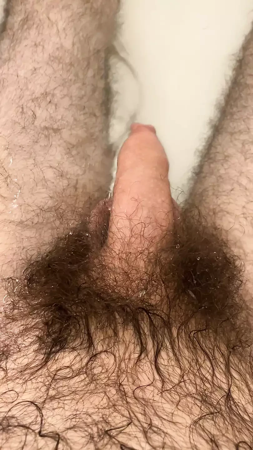 Mostrando Meus P bis Escuros Extremamente Peludos E Meu Pau Sem Cortes 