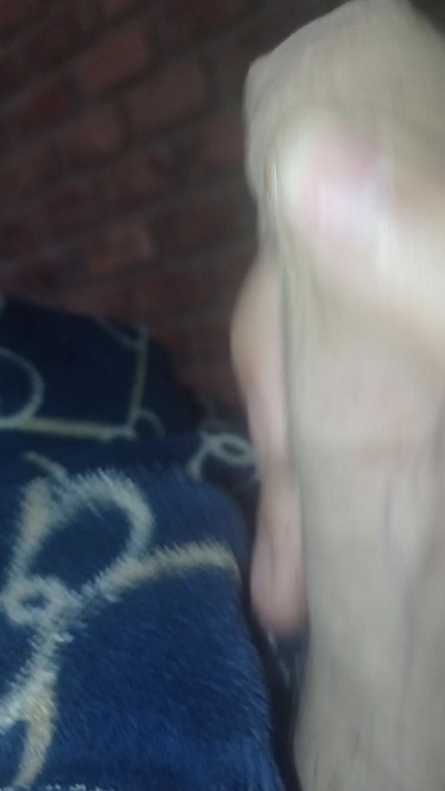 you want to see the best straw of the tomoos mora the video