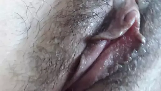Hairy Wet Squirty