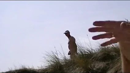 kum tepelerinde yoyeur