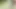 I get fucked by my ex, Polly Gardel porn actress, in show mode in the forest