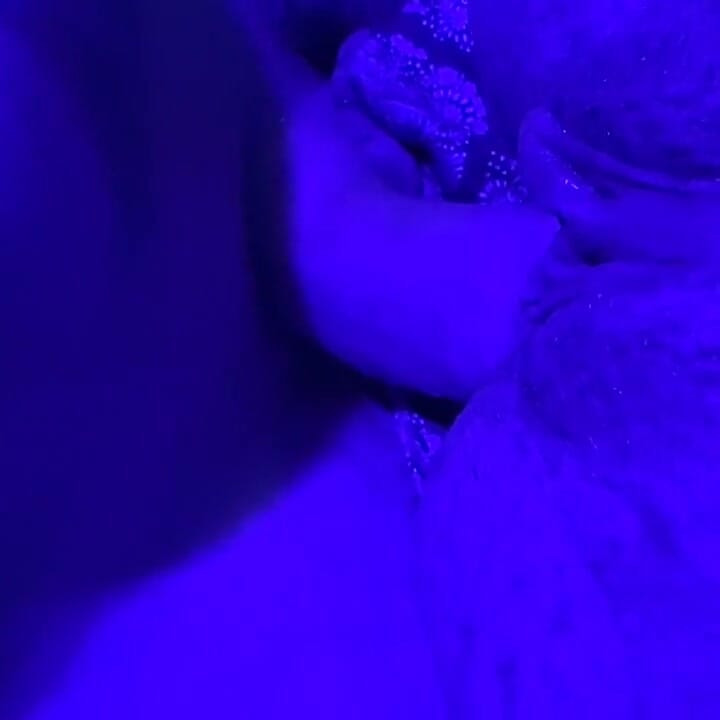Teasing and Pleasing