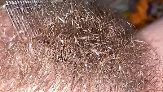 Brushing My Bush