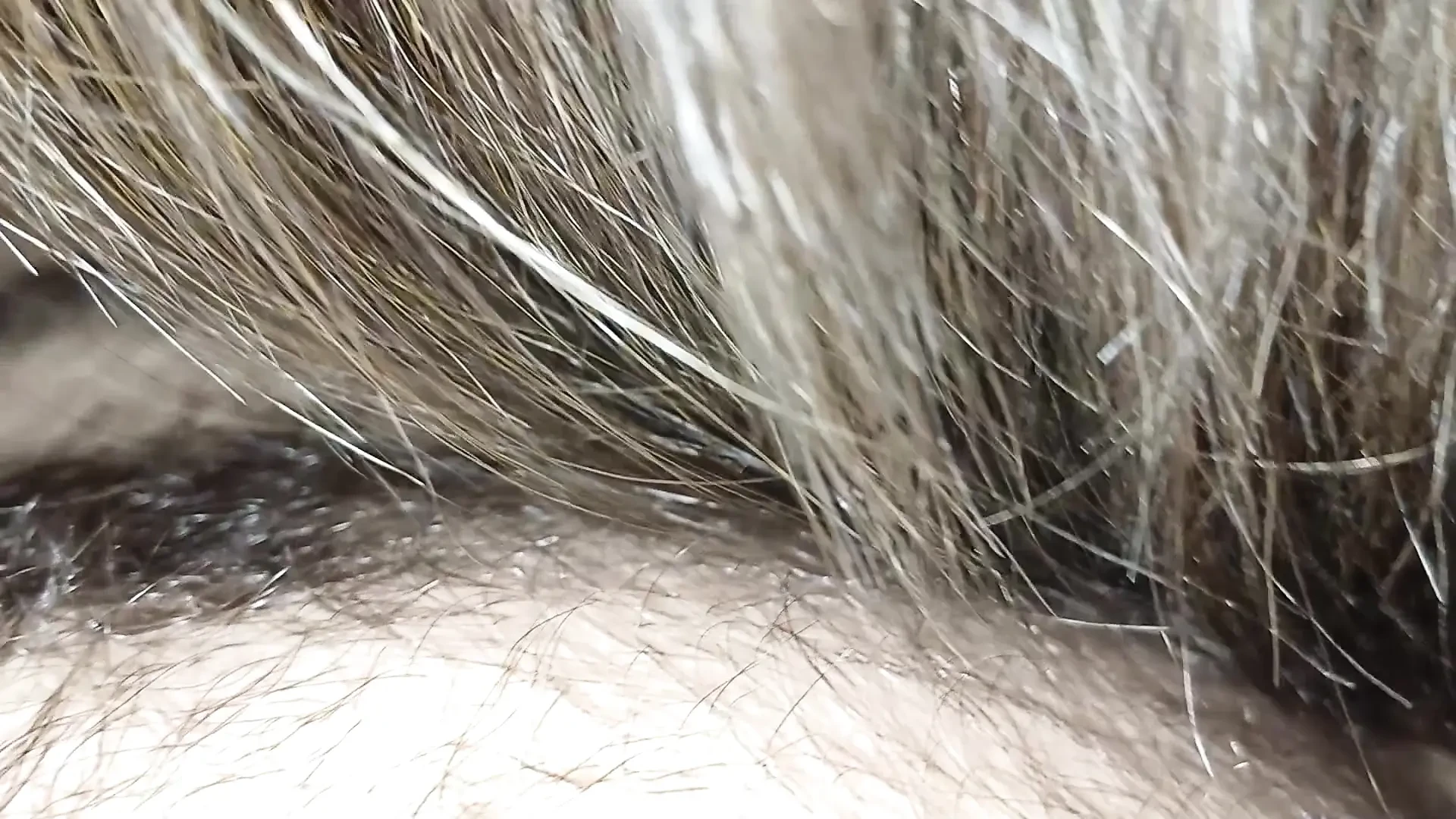 Stepsister, where did you learn to suck so well?