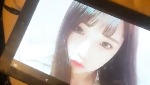Kore cumtribute