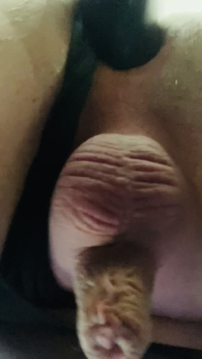 Small and Limp White Clitty Sissy with BBC dildo