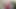Hentai Hustle – Ficken mit Sakura Harunos rosa Muschi aus Naruto