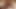 Heißes Nippelspiel und Muskelanbetung auf Amateur-Bodybuilder