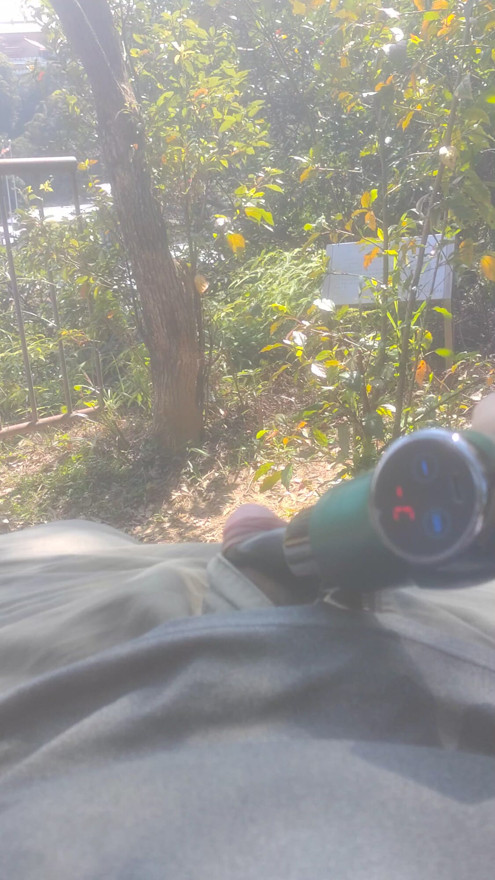 gun in the forest 3
