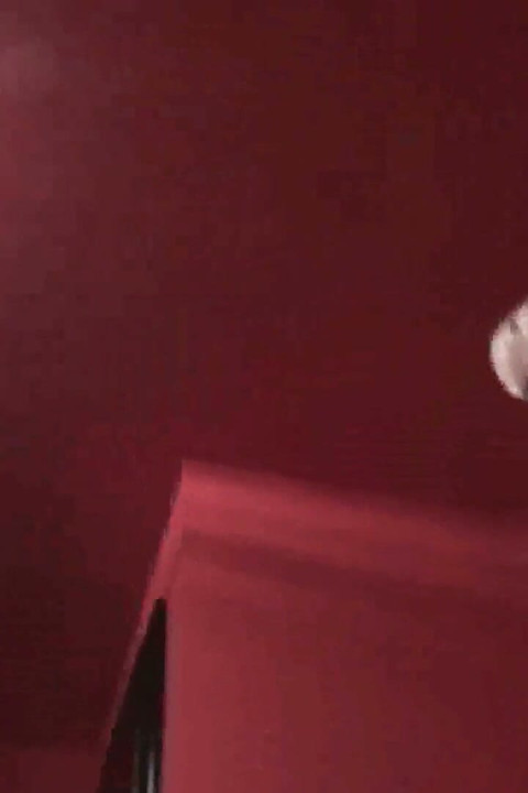 She makes her pet clean his cage