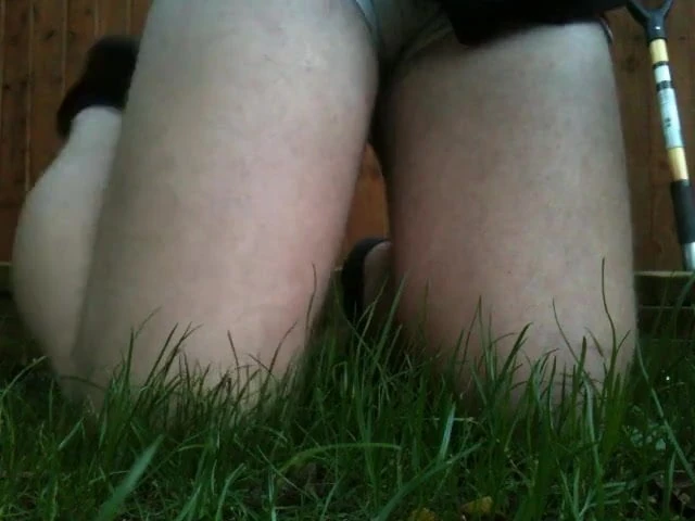 Adidas Sprinter Shorts