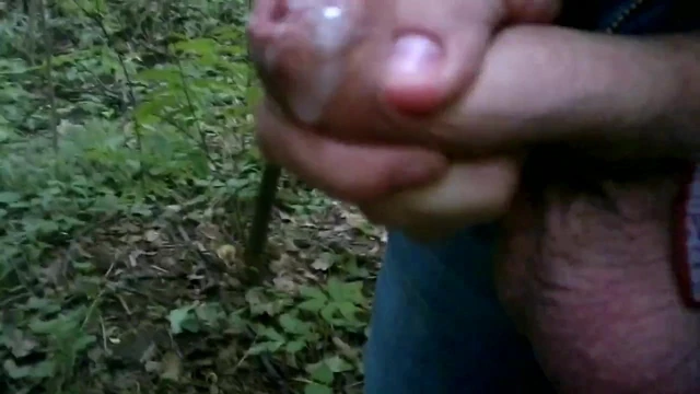 Cum 2