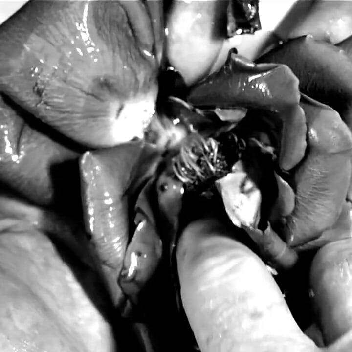 Hand Fetish - My Hands Destroying Flowers and Fruit