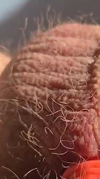 Unforgettable moment from "Thick, fat, hard banded cock comes without squirting during horny banding session"