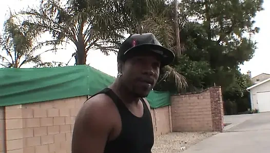 The Fox Eats It All, part 3