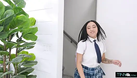 Mitbewohner tröstet liora vane mit seinem großen schwanz