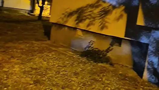 Hard, juicy Bulgarian cock spurts cum in the city garden.
