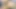 Hot Pregnent Indian Wife Romantic Kissing, Sucking, Fucking And Cum on Tummy