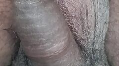 Small hairy cock