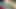 Dev kafalı bu sert yarakla seni okşuyor ve azdırıyor