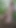 The red-haired boy was watering the plants in the forest.