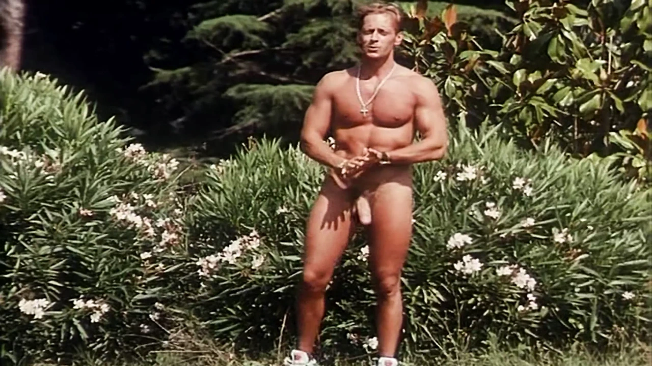 评分最高的经典 45（请求） - 4k 修复