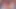 Canavar beyaz horoz Creampie içinde bir kahverengi civciv