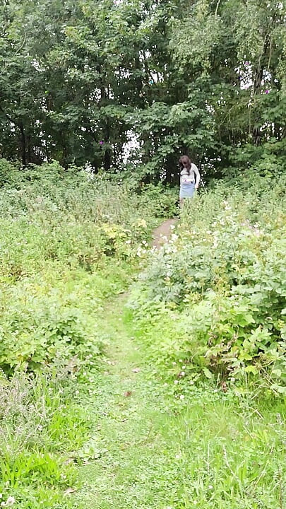 A short walk in the woods and a part strip