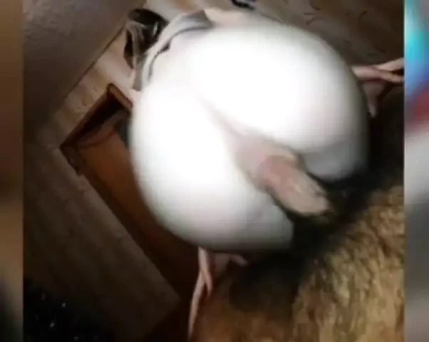この女の子をじっくりと入れます