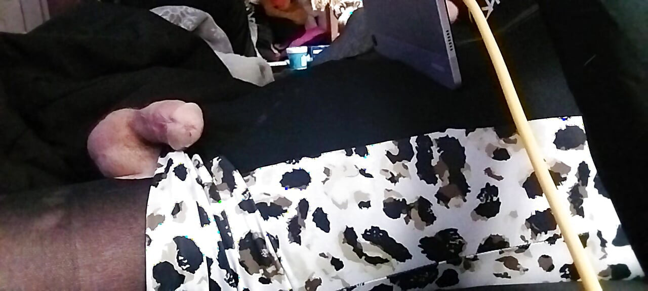 クロスドレッサー Cdmichelle Web Camming