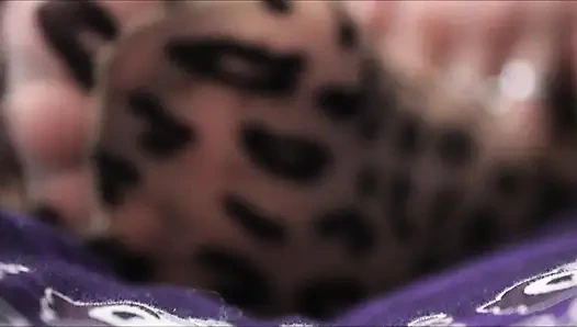 Frecher leoparden-strumpfhosen-tryon