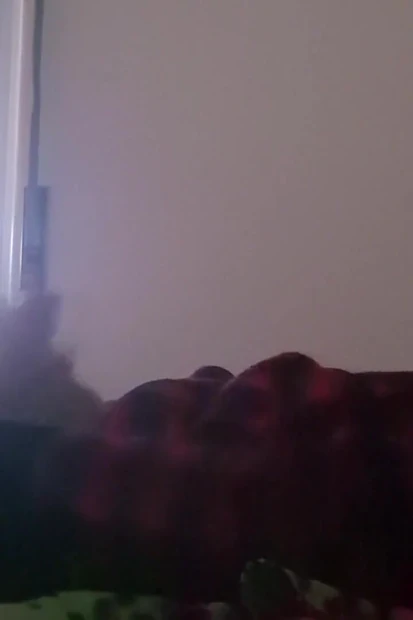 I Just Wake up and I Need to Masturbate