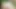 Konoha orta yaşlı seksi kadınlar bölüm 37 - neredeyse üvey annem Hinata'nın büyük göğüslerine masaj yaptığımda yakalanıyordum - erotik oyun tarafından