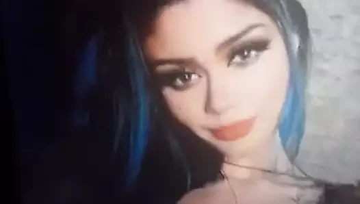 Haraç caju